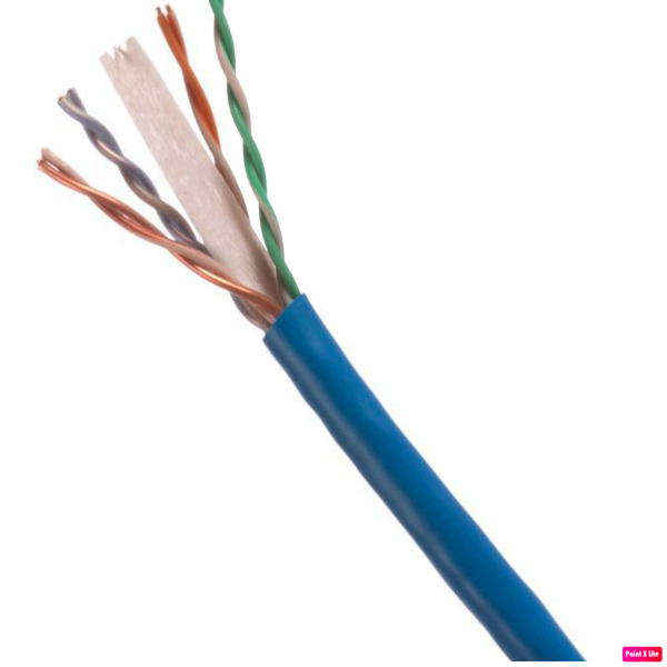 Cáp Mạng UTP Cat6 Panduit NUC6C04BU-FE 305m Màu Xanh